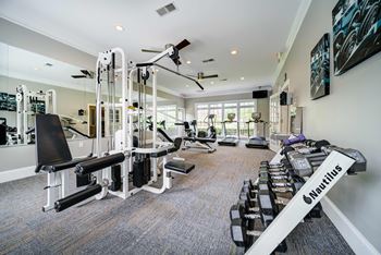 Fitness room with free weights and station trainer. and